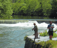 Agotados los permisos de pesca de trucha para el inicio de temporada en Navarra